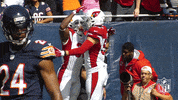 Arizona Cardinals Football GIF by NFL