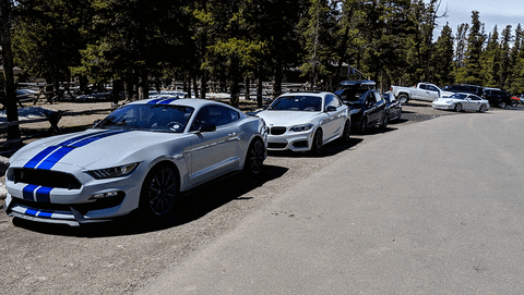 ColoradoCarsAndCoffee giphyupload friends bmw shelby GIF