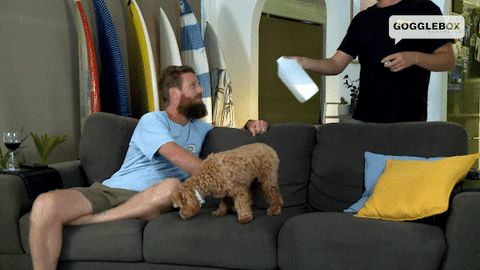 Dog Food GIF by Gogglebox Australia