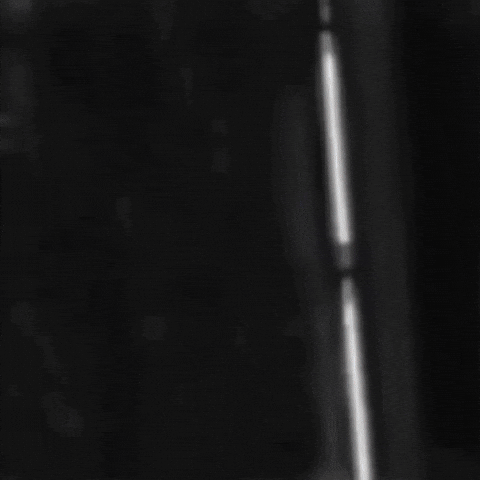 Jong Oranje Ryan GIF