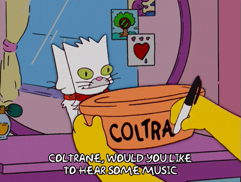 lisa simpson cat GIF