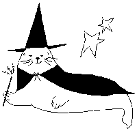 Sea Lion Star Sticker