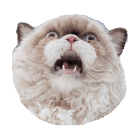 scared fear GIF by imoji