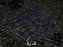 season 5 GIF by SpongeBob SquarePants