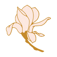 Spring Texas Sticker by Magnolia Market