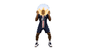France Fun Sticker by Paris Saint-Germain Handball
