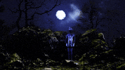 dont let me sleep shana cleveland GIF by Hardly Art