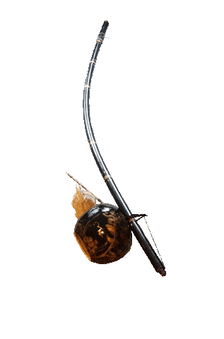 Capoeira Sticker by capoeiraluebeckmli