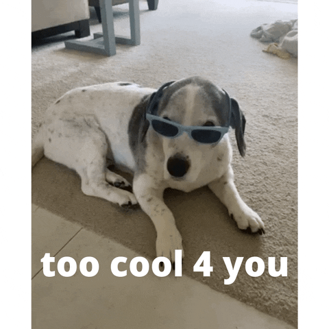 YourHappyWorkplace giphyupload sunglasses so cool too cool GIF
