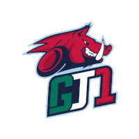 driving fia world touring car cup Sticker by FIA WTCR