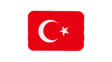 Flag Turkey Sticker by EmojiVid