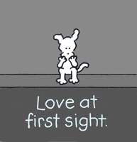 chippythedog chippythedog GIF