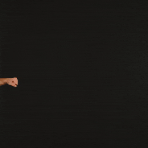 Fort Wayne Volleyball GIF by Purdue Fort Wayne Athletics