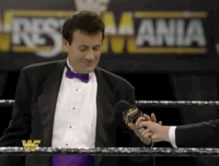wrestlemania x wrestling GIF by WWE