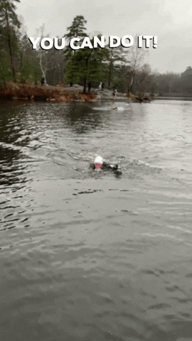 ARKsports charity swimrun otillo hellasfrostbite GIF