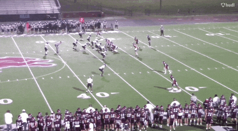 Derp42 giphyupload GIF