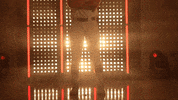 Stanford Cardinal Softball GIF by NCAA Championships