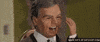 thunderbird GIF