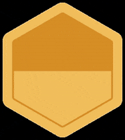 Molchanovs Freediving GIF by Molchanovs