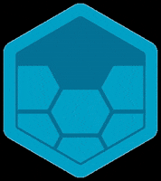 Molchanovs Freediving GIF by Molchanovs