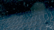 Gillette Stadium Football GIF by New England Patriots