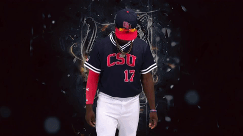 GIF by Columbus State University Athletics
