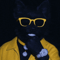 Crypto Glasses GIF by Terry Toto