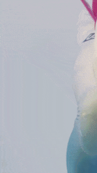 Team Usa Olympics GIF by U.S. Ski & Snowboard Team