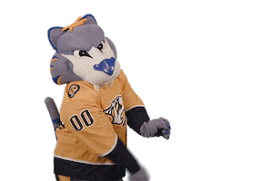 Ice Hockey Sticker by NHL