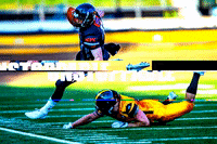 pantherswroclaw panthers wroclaw pantherswroclaw GIF