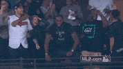 Lebron James Omg GIF by MLB