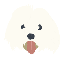 Maltese Puppy Sticker by Karin - iknit2purl2