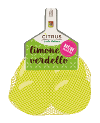Shopping Shop Sticker by Citrus