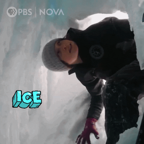 Pbs Biology GIF by WGBH Boston