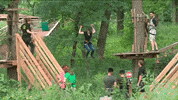 chicago lol GIF by WGN Morning News