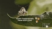 GIF by KQEDScience