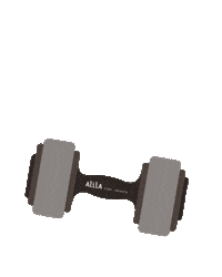 alilascbd gym barbell dumbbell hyatt Sticker