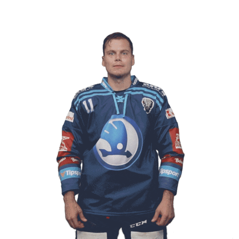 Hockey Thumbs Up Sticker by HC Škoda Plzeň