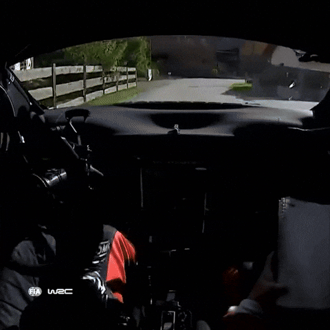 Racing Driving GIF by FIA World Rally Championship