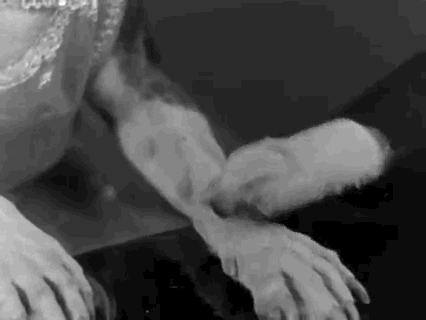 Comforting Black And White GIF by Warner Archive