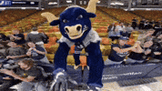 Aggies Bigblue GIF