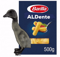 Duck Noodles GIF
