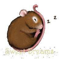 Good Night Baby Sticker