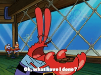 season 3 GIF by SpongeBob SquarePants