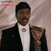 Eddie Murphy Ugh GIF by Coming to America