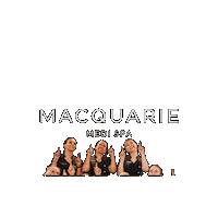 Medispa Sticker by Macquarie Medi Spa