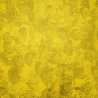 Futbol Cerveza GIF by PilsenerEC