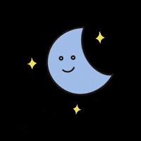 sunsfolio kawaii night wink moon GIF