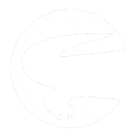 crocodileglobal crocodileglobal Sticker