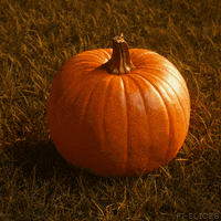 Jack O Lantern Art GIF by Pi-Slices